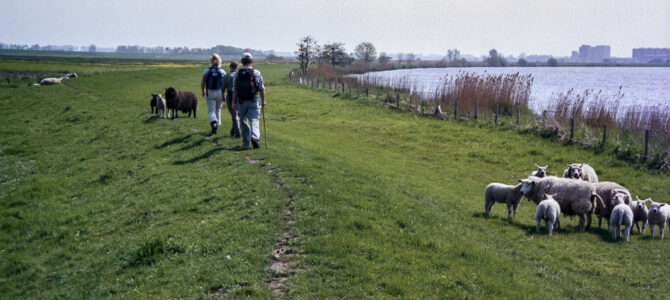 Jabikspaad Sint Jansklooster – Hasselt (de laatste etappe van het Jabikspaad)