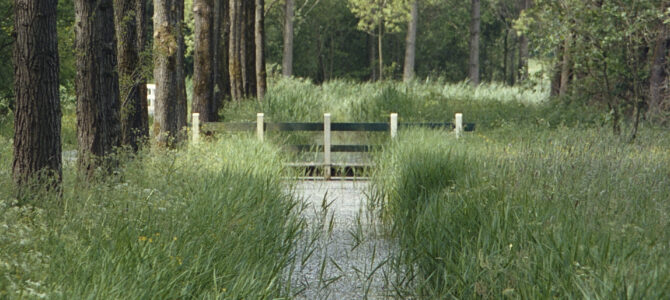 Hanzestedenpad Zwolle-Hattem