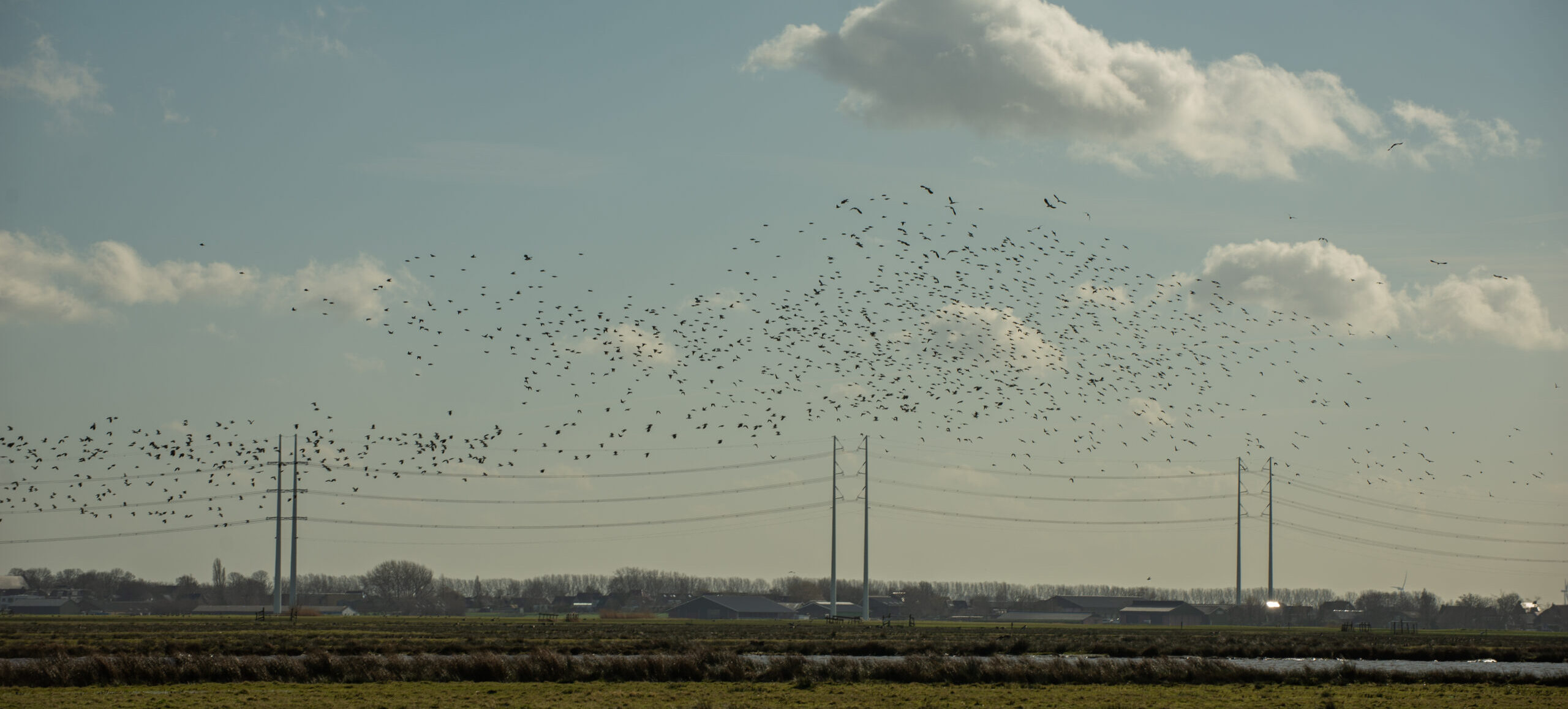 Limespad 3  Zoeterwoude-Dorp – Hazerswoude Dorp